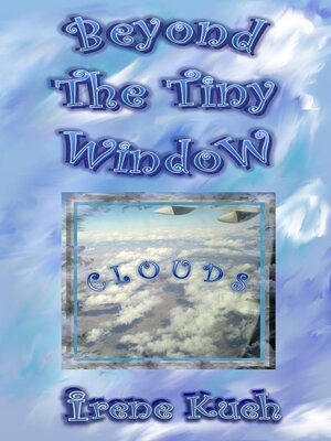 cover image of Beyond the Tiny Window